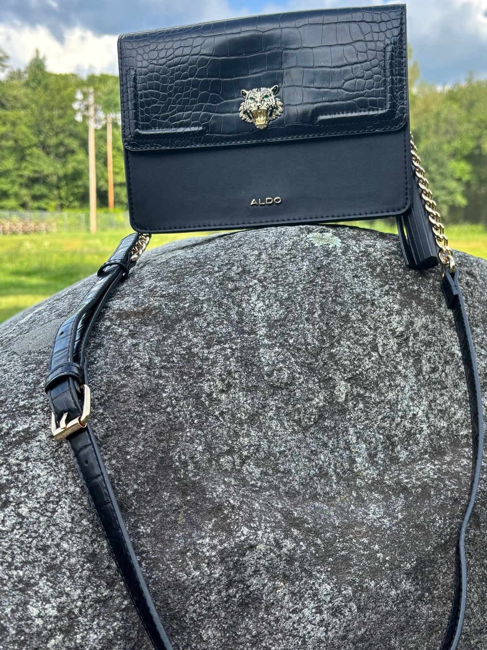 ALDO Black Croc-Trim Crossbody with Gold Hardware